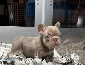 Bảng giá dịch vụ