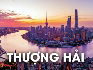 DỊCH VỤ VẬN CHUYỂN THÚ CƯNG ĐI THƯỢNG HẢI - SHANGHAI