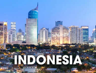DỊCH VỤ VẬN CHUYỂN THÚ CƯNG ĐI INDONESIA