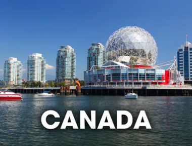 DỊCH VỤ VẬN CHUYỂN THÚ CƯNG ĐI CANADA