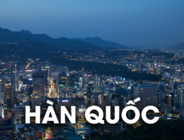 DỊCH VỤ VẬN CHUYỂN THÚ CƯNG ĐI HÀN
