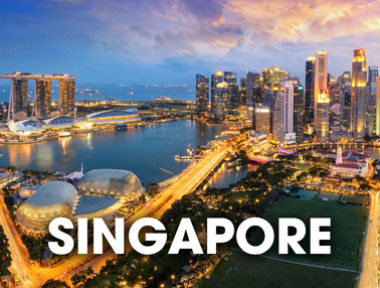 DỊCH VỤ VẬN CHUYỂN THÚ CƯNG ĐI SINGAPORE
