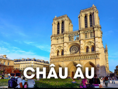 DỊCH VỤ VẬN CHUYỂN THÚ CƯNG ĐI CHÂU ÂU