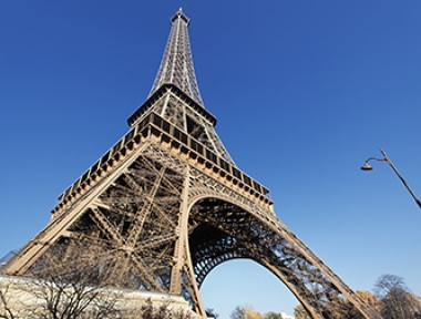 DỊCH VỤ VẬN CHUYỂN THÚ CƯNG ĐI CHÂU ÂU